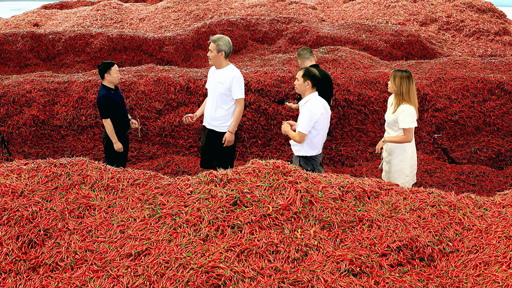 扩建、安全、生产、促高质量发展