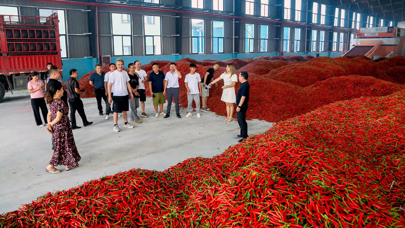 2024年8月新厂正式投产