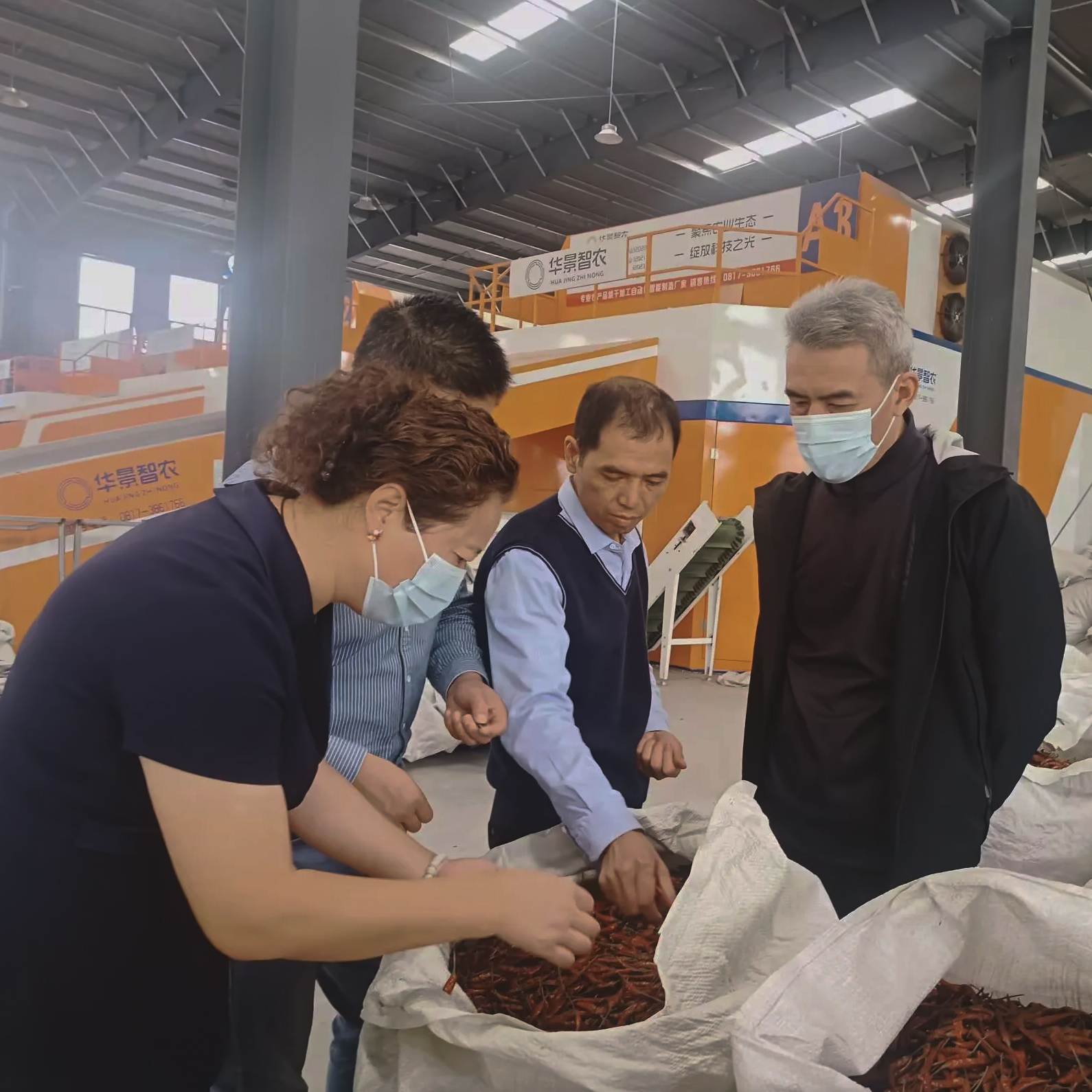 2024年重庆客户来厂采购干椒产品