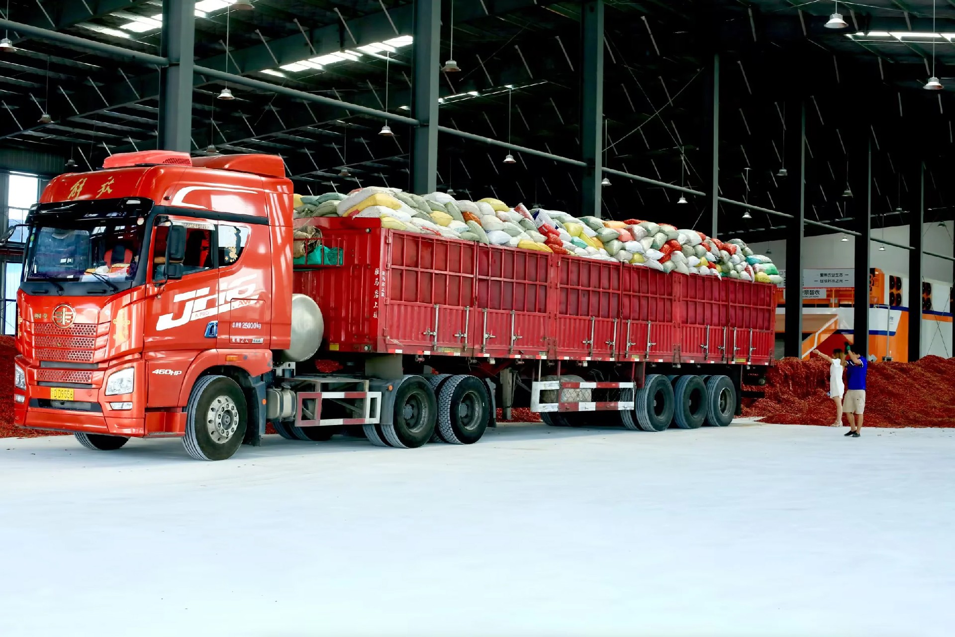 2025年8月公司大量收购、精选各类鲜椒，并组织鲜椒烘干生产