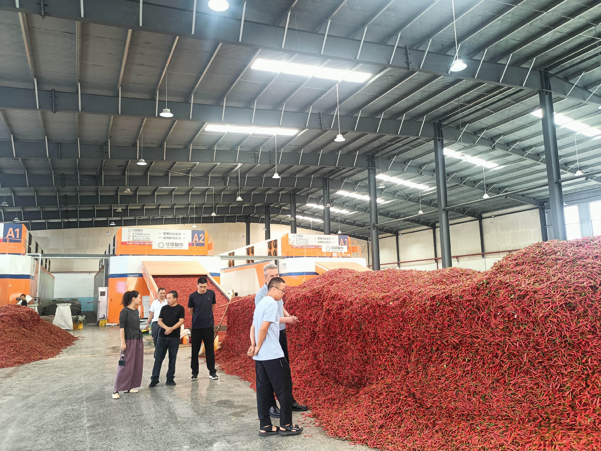 2025年8月14日集团公司领导来厂检查、指导、安排工作