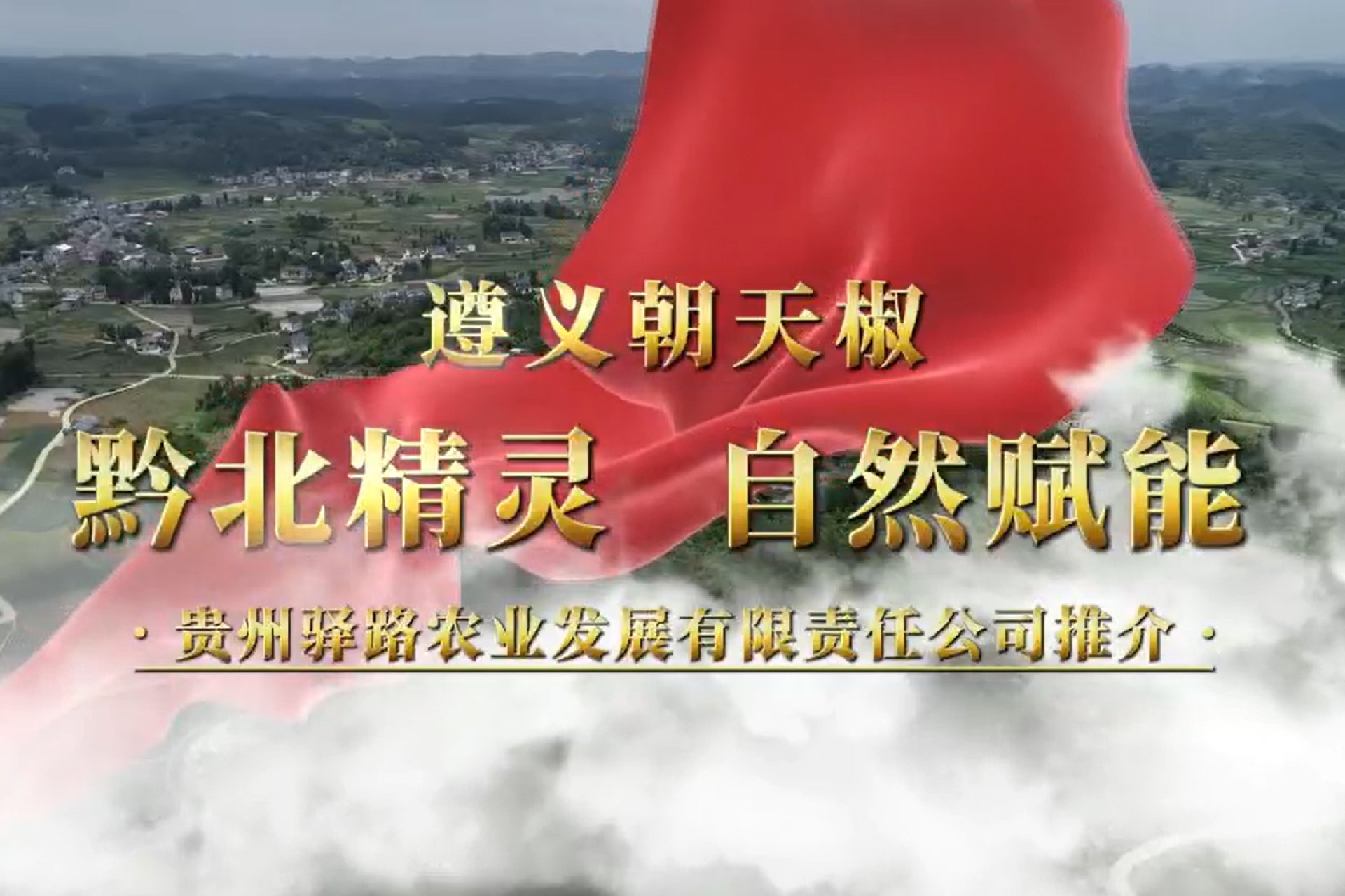 遵义朝天椒“黔北精灵自然赋能”驿路农业